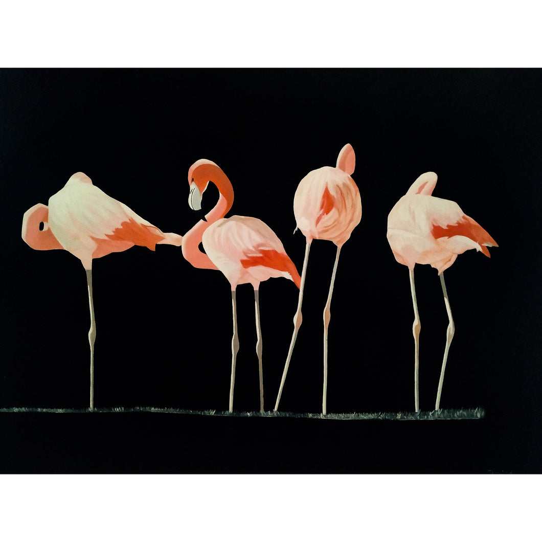 Flamants roses  - 80 x 60 cm